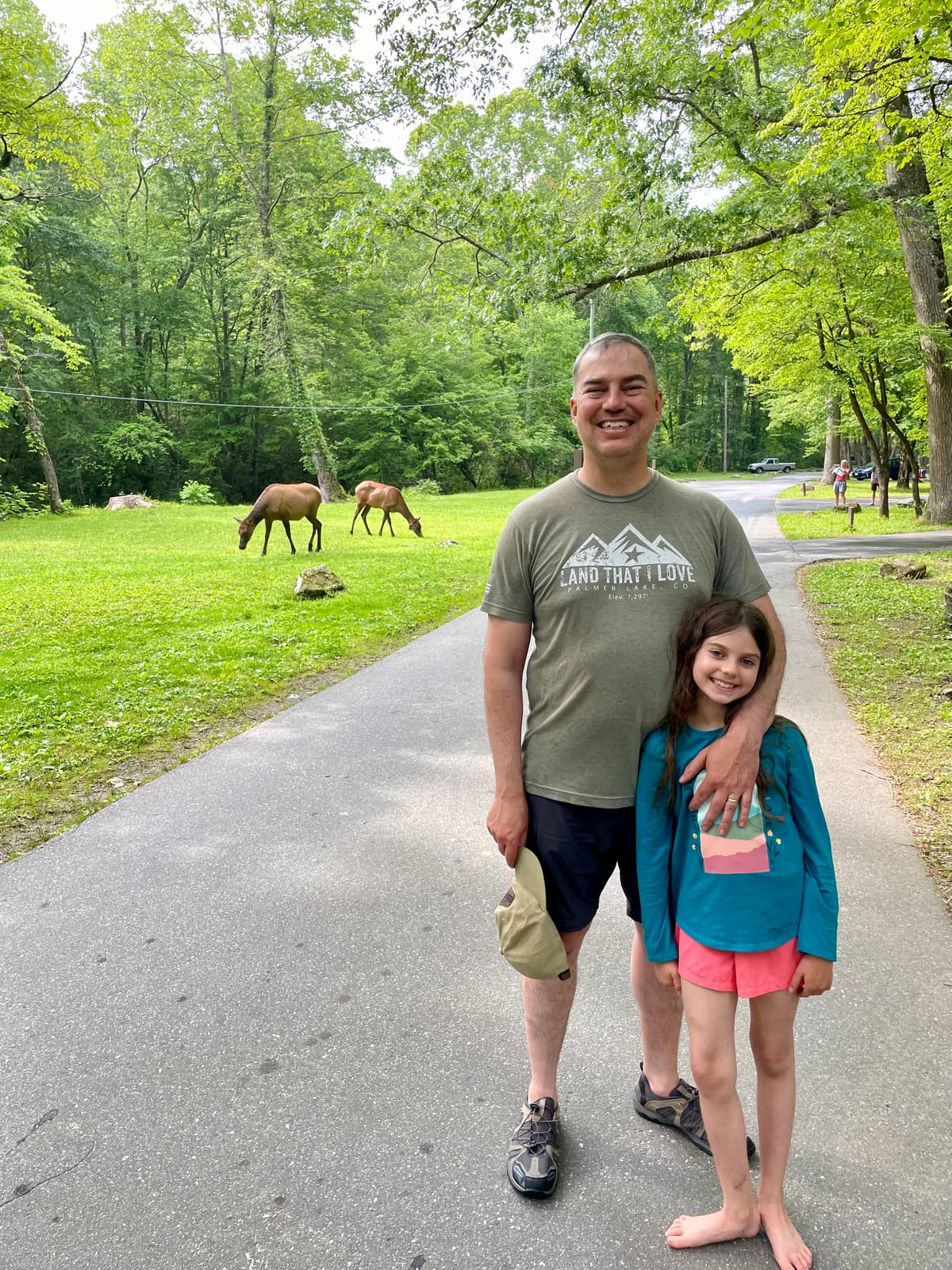 Psalm 6: Great Smoky Mountains National Park