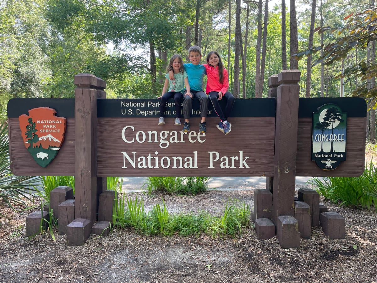 Psalm 8: Congaree National Park