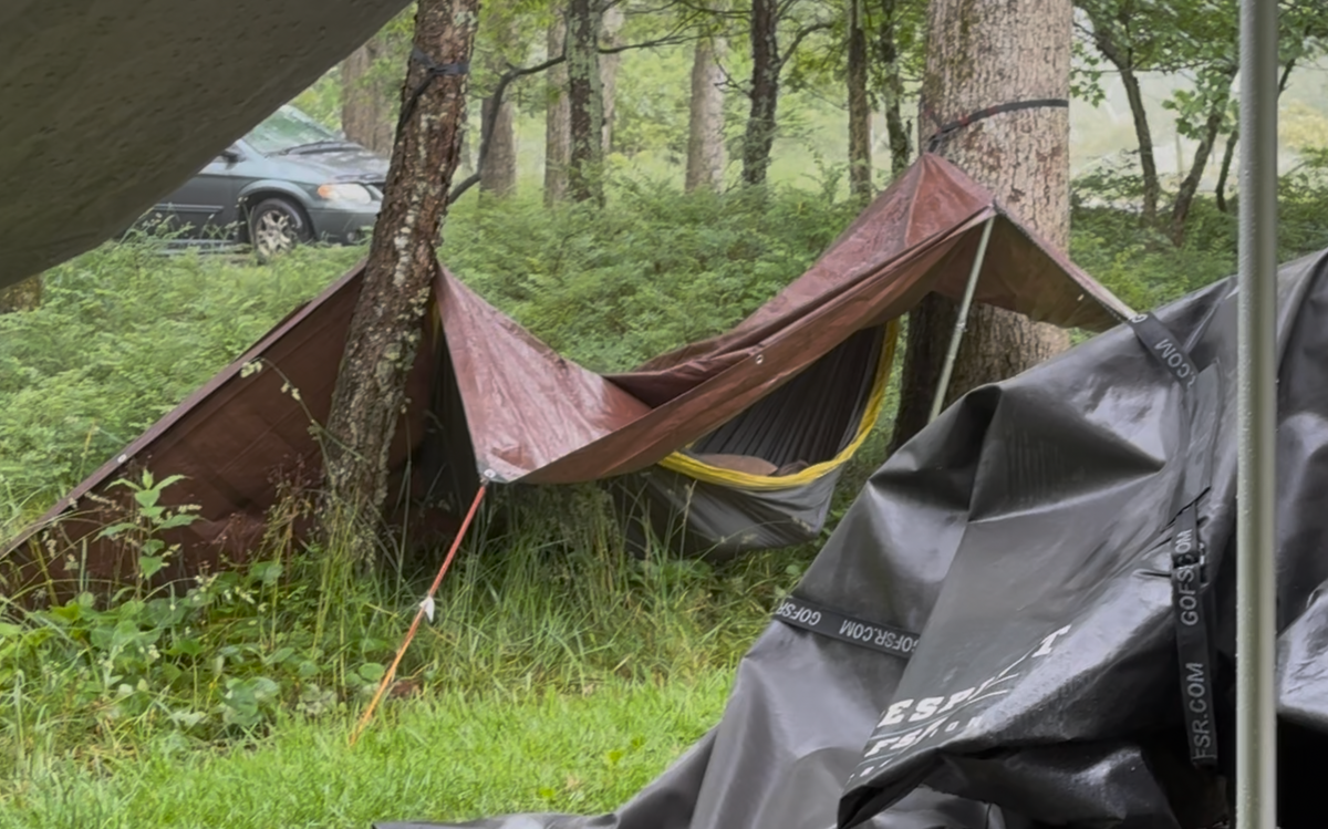 Psalm 11: Shenandoah National Park